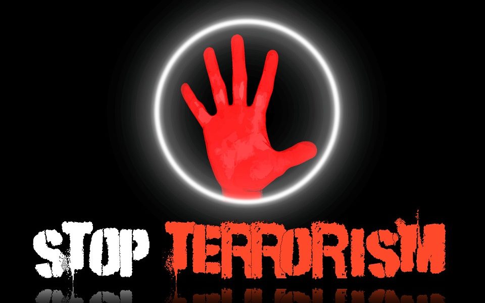 Thousands of people are satisfied with our work